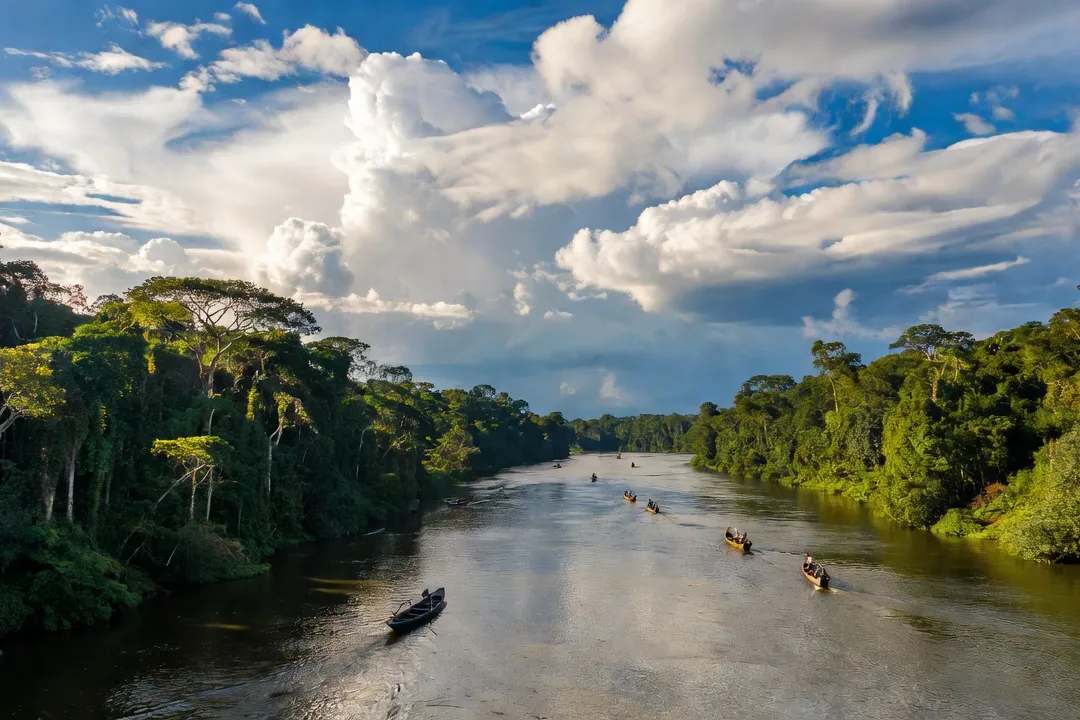 Vue aérienne du fleuve Maroni séparant deux rives forestières en Guyane